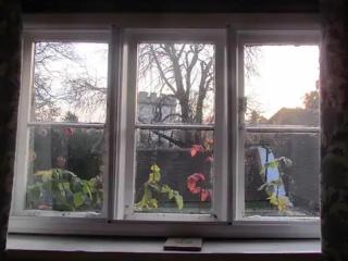 Come and Stay in our Charming Cottage - 6