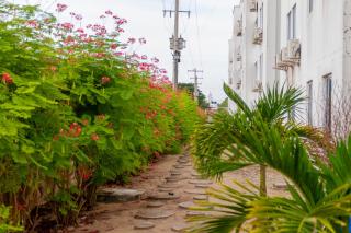 Raíces Caribeñas, Apartamento En Coveñas - Coveñas - 8