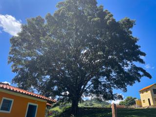 Fortuna Casas de Campo - 3