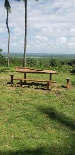 FAZENDA BOSQUE DAs PALMEIRAS - Itamaracá - 8