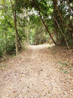 FAZENDA BOSQUE DAs PALMEIRAS - Itamaracá - 6