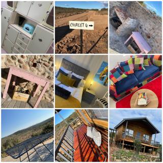 Klein Karoo Game Lodge - Oudtshoorn - 8