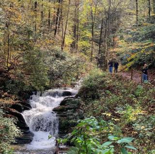 All Tucked Inn - Sevierville - 4
