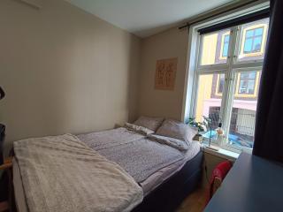 Bergen City Center Apartment - Bergen - 5