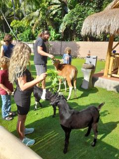 Camplung Beach Villa and Farmstead - 1