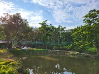 Sirimane Homestay - Water Activities, Home Food, Estate - Sakleshpur - 2