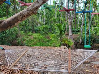 Sirimane Homestay - Water Activities, Home Food, Estate - Sakleshpur - 3