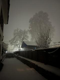 Al Rehman Homestay - Srinagar - 7