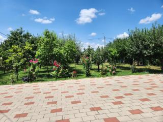 Vila Reghina - Alba Iulia - 5