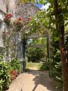 Felicia's Country House - Polvica - 4