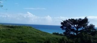 La belle Mullane - 9