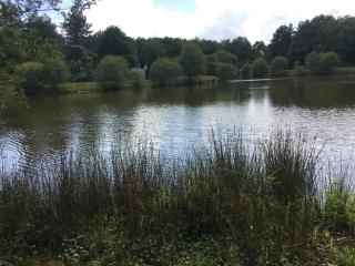 PuyduFou MH F4 FULL CONFORT 6personnes 220FS - La Boissière-de-Montaigu - 1