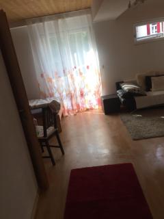 Apartement with selfcatering - Buchs - 8