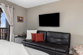 Timbers Studio 47 with Wintergreen Advantage - 9