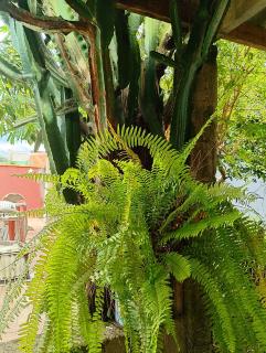 Chácara paraíso - 3