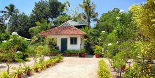 MARARI YOGA HOMESTAY - Mararikulam - 6