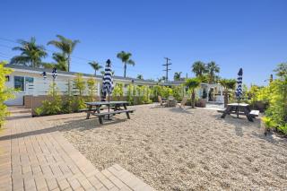South O Bungalow 4 - Deluxe Queen Studio + Patio - Oceanside - 2