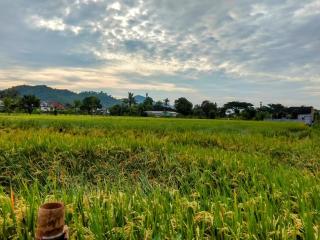 Little bird lodge - Kuripan - 5