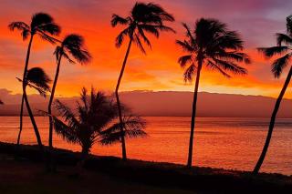 Lauloa 410 - Top Floor, Direct Ocean Front, Stunning Renovation, Wi-Fi, Split AC - Wailuku - 7