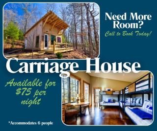 Sugar Shack - Modern, Natural Lighting, Spacious Deck, Cozy Interior, Hot Tub, Fire Pit - Blue Ridge, GA - Blue Ridge - 9