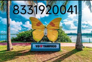 confortable depto in the golden zone - Tampico - 9