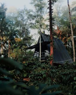 Nomad's Arc Wayanad - Chekadi - 0