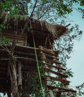 Nomad's Arc Wayanad - Chekadi - 9