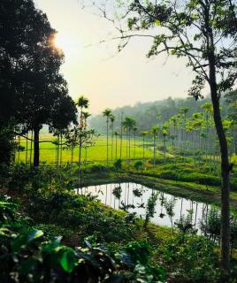 Nomad's Arc Wayanad - Chekadi - 3