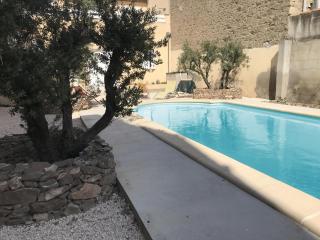 Maison de vacances Olonzac - 5