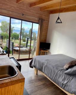 Vistaranco Apartamento - Lago Ranco - 3
