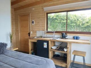 Vistaranco Apartamento - Lago Ranco - 1