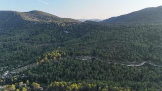La colline - Solliès-Toucas - 3
