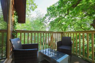 Fern Gully Lodge with Hot Tub - Spa Resort - Devon - 2