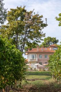 Villa Yeppa - SantʼAndrea in Casale - 0
