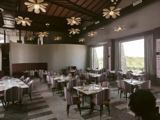 Sayaji Resorts & Spa Jawai - Bīsalpur - 5