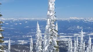 Lake Room - Sandpoint - 4