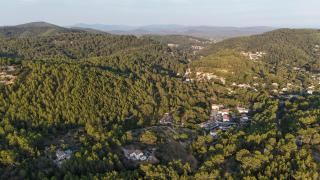 La colline - Solliès-Toucas - 3