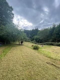 chalet cosy au calme - 9