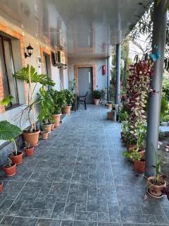 garden and panorama - 1