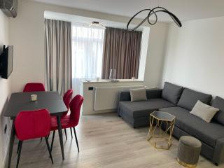 fancy 1 bdrm apartment in center - Bucarest - 0