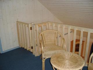 Ferienhaus mit Terrasse - Rechlin - 1