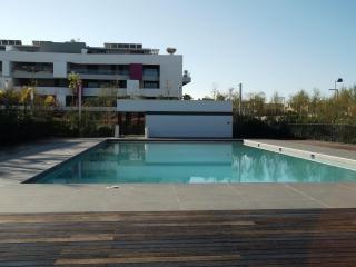 luxury F2 swimming pool ponds and sea - 5