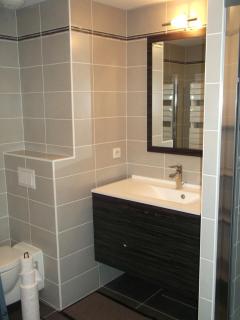 luxury F2 swimming pool ponds and sea - Palavas-les-Flots - 1