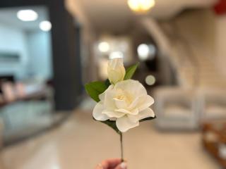 Alpino Hotel - Buenos Aires - 8