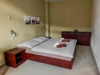 Hotel Belaria Resort - wellness, bazén - Opava - 4