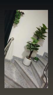 Beautiful nice familie friends stay in Bharia town karachi villa bahria NICE good - 5