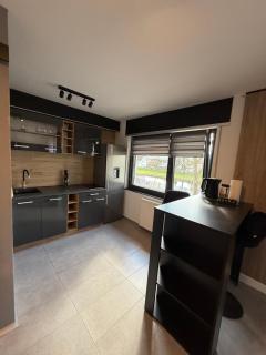 Apartment am Zentrum der Murg! - Gaggenau - 4