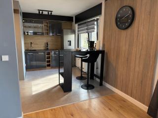 Apartment am Zentrum der Murg! - Gaggenau - 1