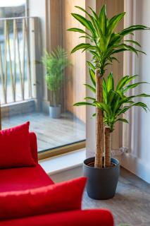 Luxe London Retreat - Londra - 0
