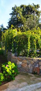 Anna's Garden House - Chania - 1